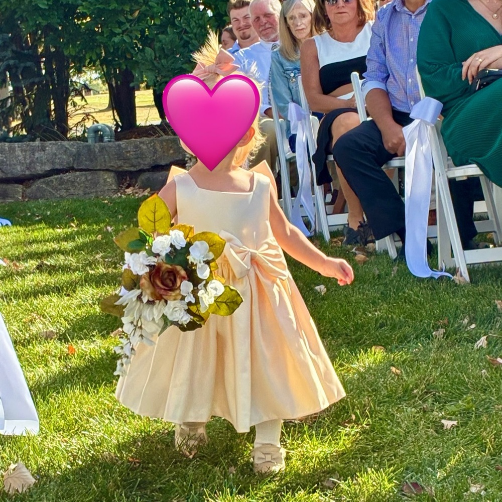 Elegant Cream Flower Girl Dress